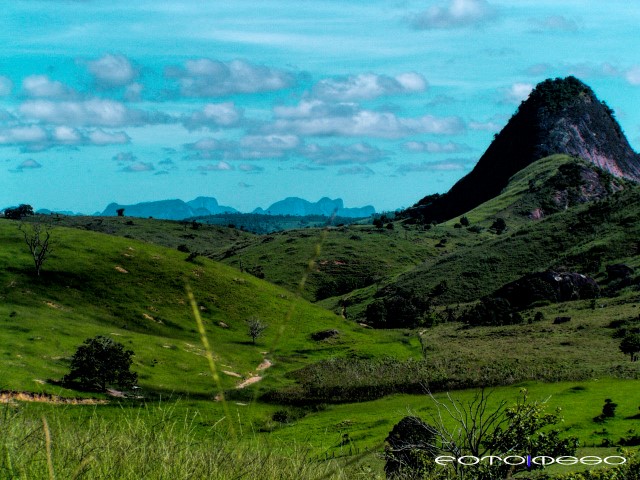 Brasil logo 19 (Small)